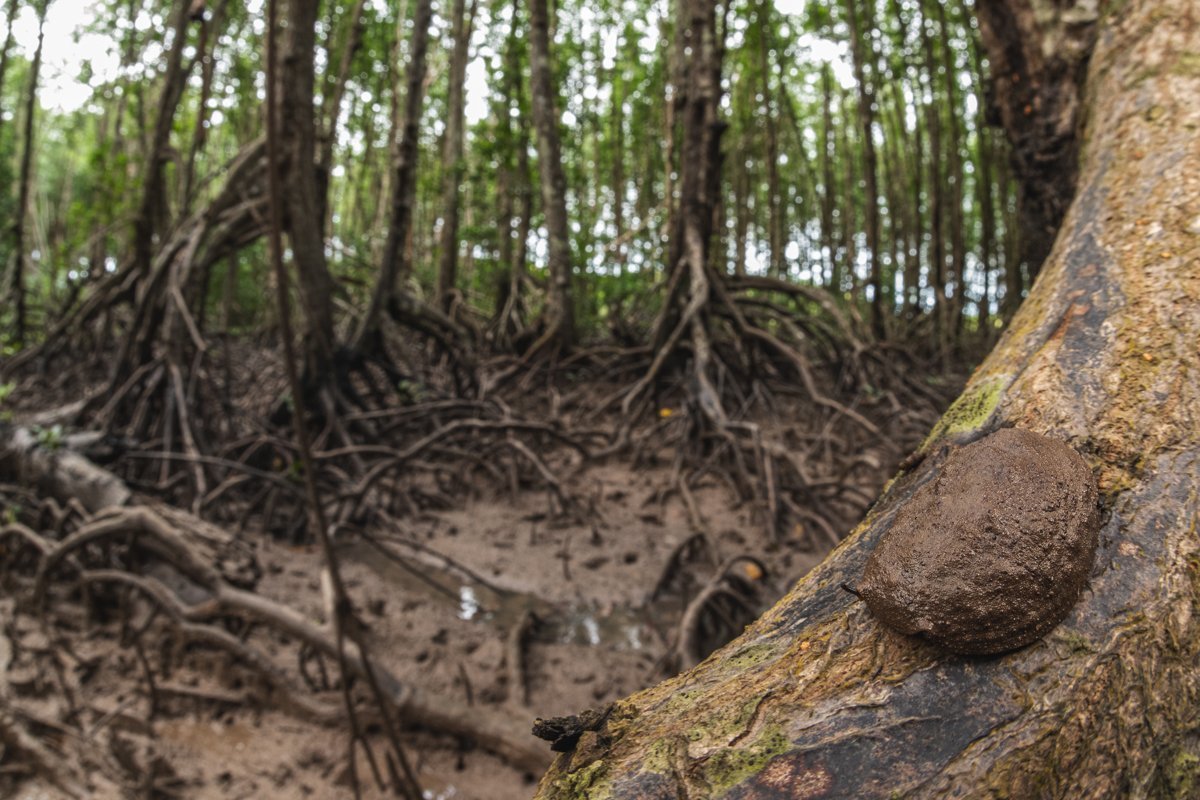 Миниконкурс февраля «Широкий угол»