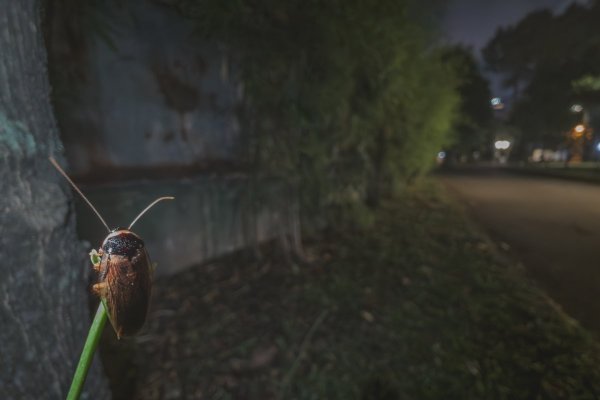 Навигация на объедки