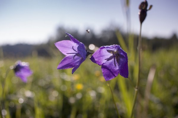Где же ты, вкусненький!?