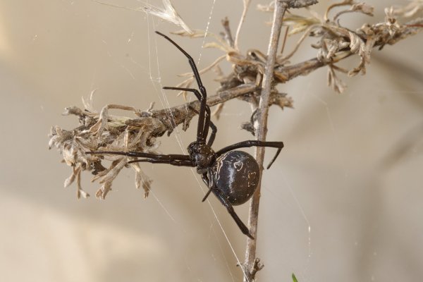 Со мной нужно аккуратно.