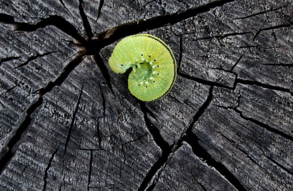 Уязвимость