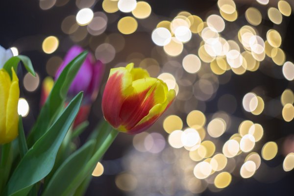 В брызгах света