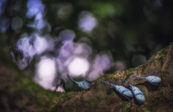 Ночной караван