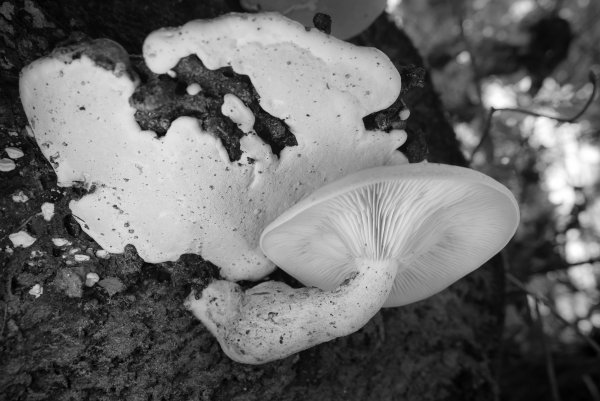 Конкуренция