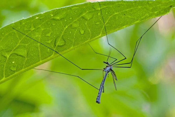 Под зонтиком.