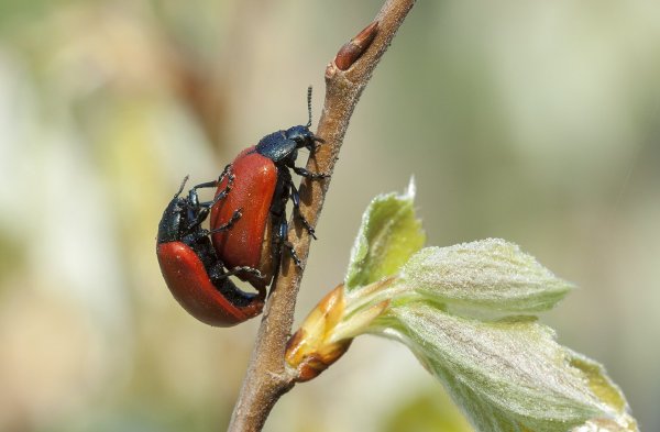 Начало новой жизни