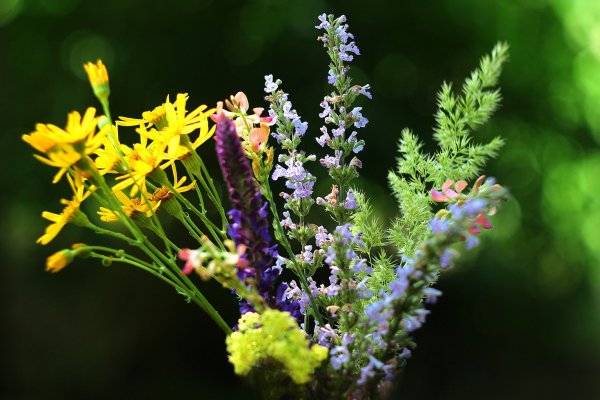 IMG_3595-1 Скромный весенний полевой букетик