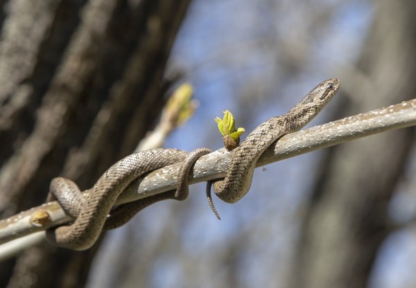 Крепкие объятия.