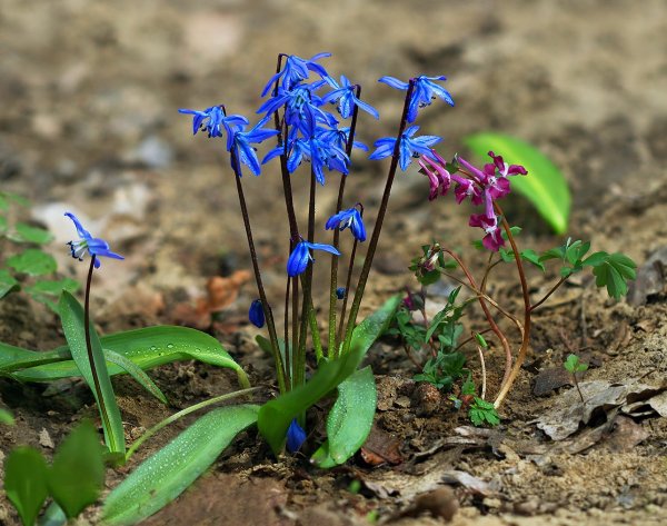 IMG_6505 Семейка. А сынок - копия папа!