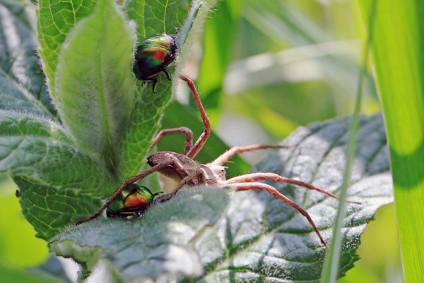 IMG_8330-1  Странная коммунальная квартира