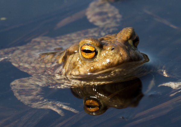 Жизнь удалась!