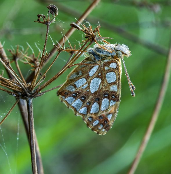На рассвете.