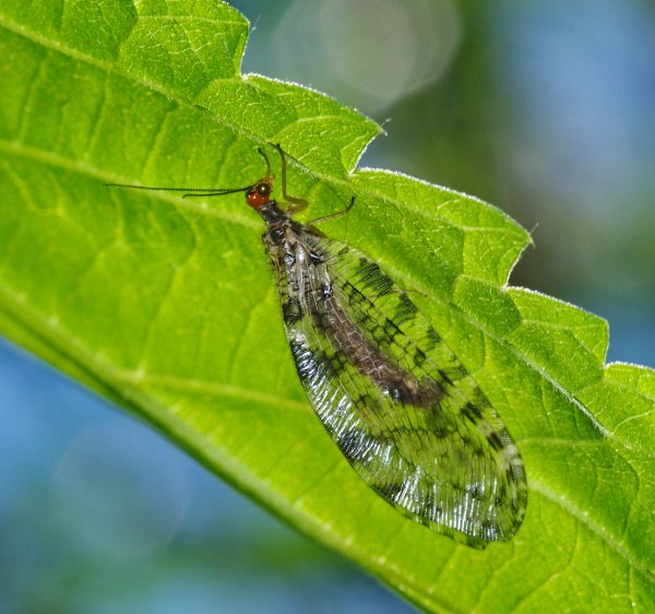 От фотографа не спрячешься.