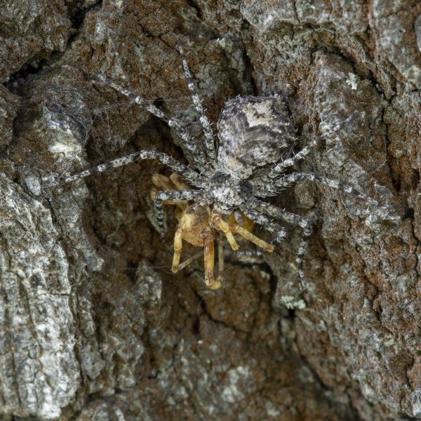 Игнорируешь маскировку, вот и результат!