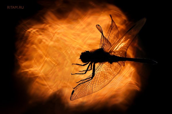 Повелитель энергий