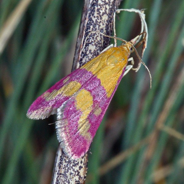 Мелочь, но приятная.