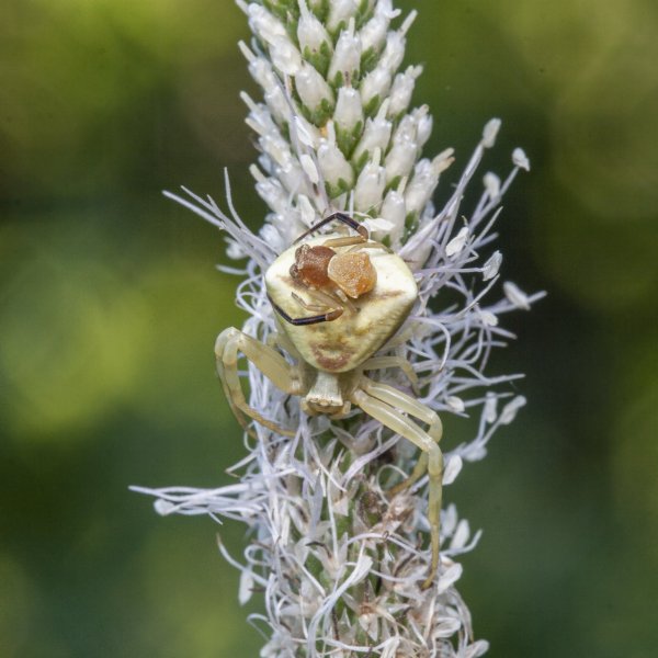 "Неужели это все мое!!!"
