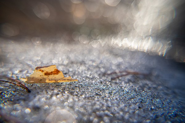 Красота в луже