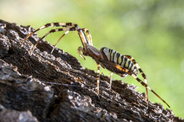 В нестандартном ракурсе.