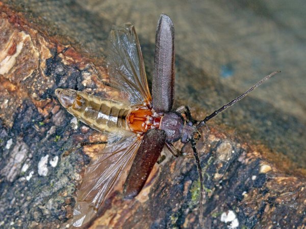 В ожидании разрешения на взлет.