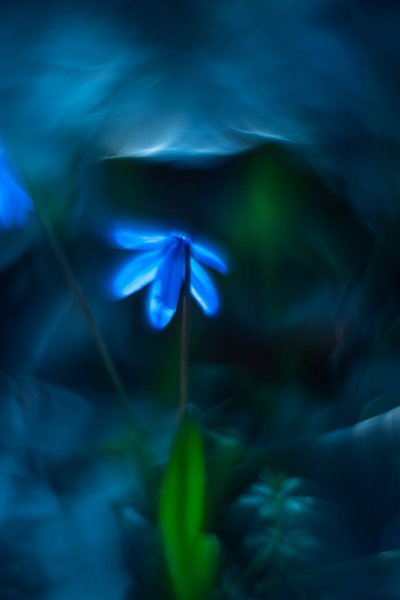 В безопасности