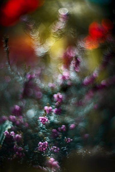 Половецкие пляски