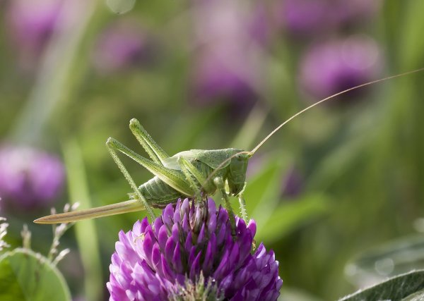 Как дальше жить?