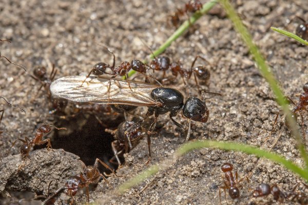 Предполетный осмотр.