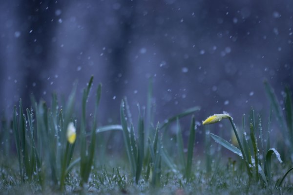 Верните тепло