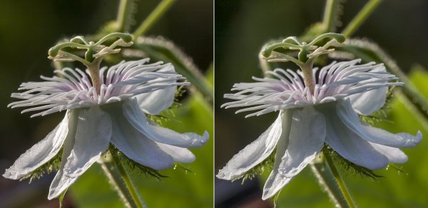 Многоэтажная конструкция