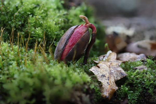 IMG_8558-1  Первый год жизни