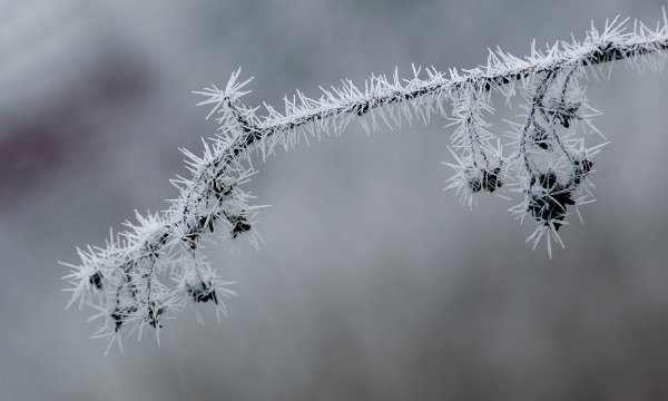 Колючий иней))