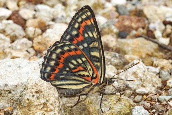 В поисках нужного минерала.