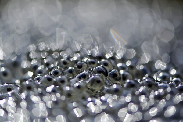 Банный день.