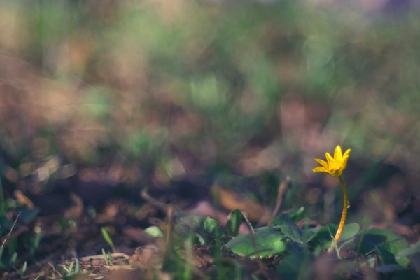 Art photography