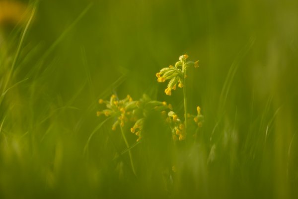 Art photography