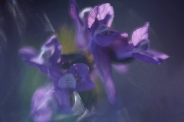 Art photography