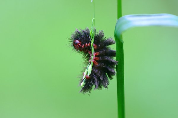 IMG_6040-1  Неопознанный объект