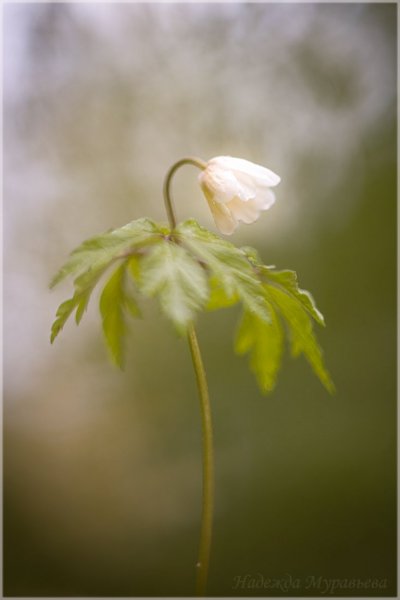 Art photography