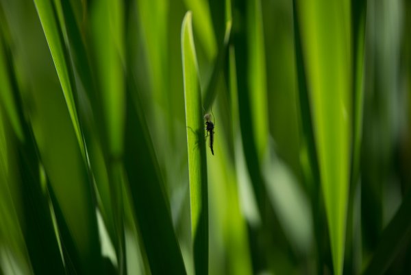 DSC_5744.jpg