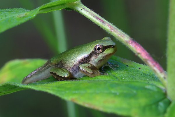 IMG_0616-1  Первые часы на воздухе