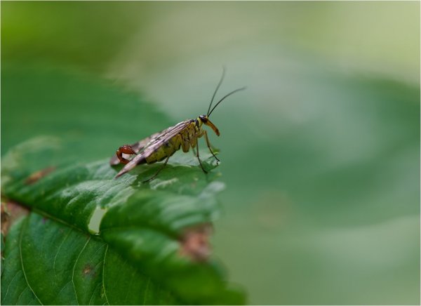 DSC_5704.jpg