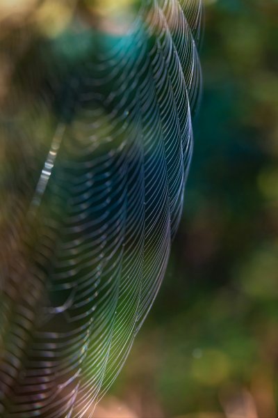 Art photography
