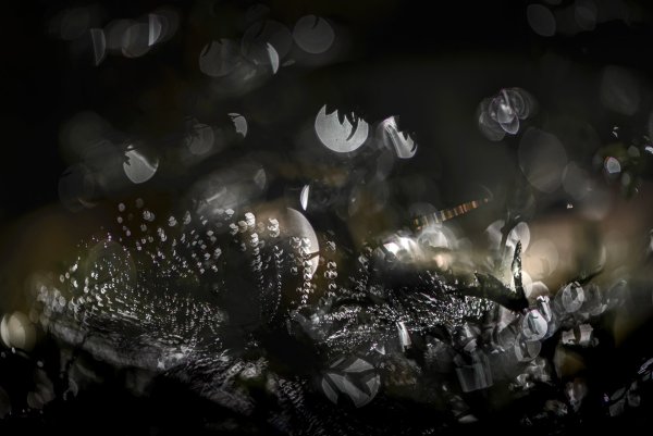 inanimate nature