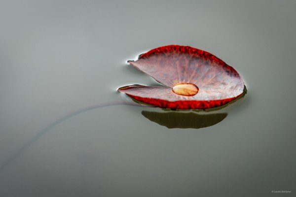 IMG_4080.jpg