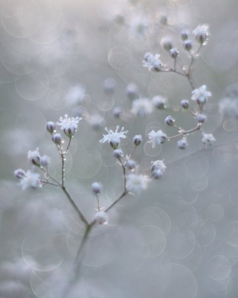 Art photography